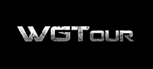 Кланлига «WGTour»